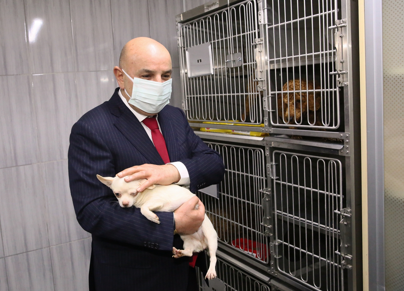 Başkan Altınok 5 günde 3 bin 298 sahiplenme başvurusu yapıldı