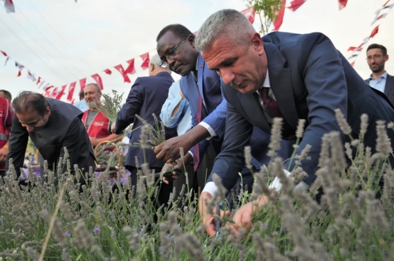 2. Geleneksel Lavanta Festivali Keçiören`de renkli görüntülere sahne oldu