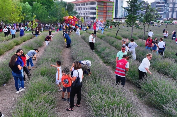 2. Geleneksel Lavanta Festivali Keçiören`de renkli görüntülere sahne oldu