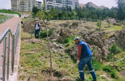 Ağaçlandırma seferberliğinde vatandaş ve belediye işbirliği