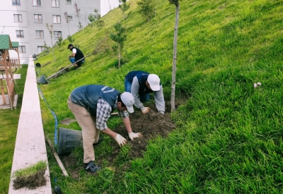 Ağaçlandırma seferberliğinde vatandaş ve belediye işbirliği