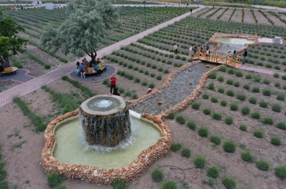 Genç yaşlı herkes Lavanta ve Gül Bahçesi Çekim Platosunda anı ölümsüzleştiriyor