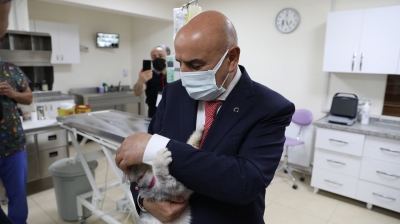 Keçiören Belediyesi ‘8 bin 376’ sokak canlısını tedavi etti