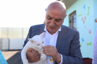 Keçiören Belediyesi ‘8 bin 376’ sokak canlısını tedavi etti