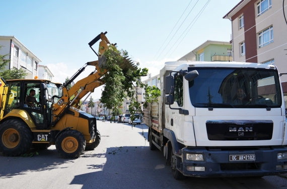 Keçiören’de mevsimlik budama çalışması
