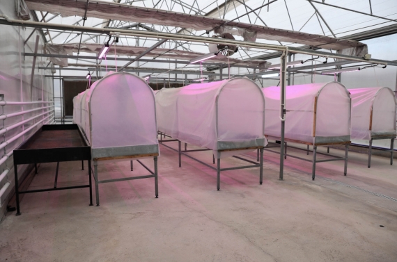 Keçiören’de bilinçli tarımsal üretim için eğitim verildi