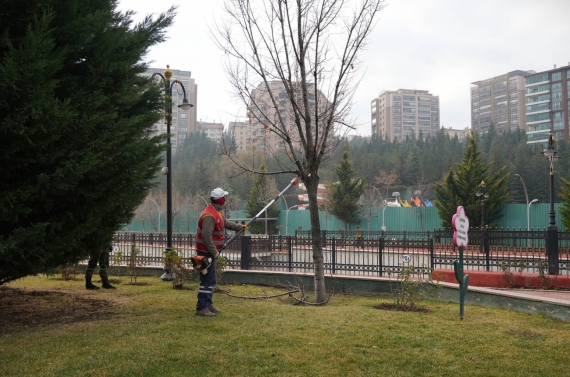 Keçiören’de budama çalışmasıyla yeşil örtü korunuyor