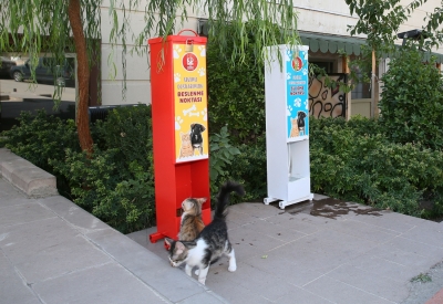 Keçiören’de kedi ve köpekler için mama istasyonları kuruldu