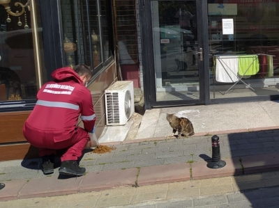 Keçiören’de koronavirüs günlerinde sokak hayvanları unutulmuyor