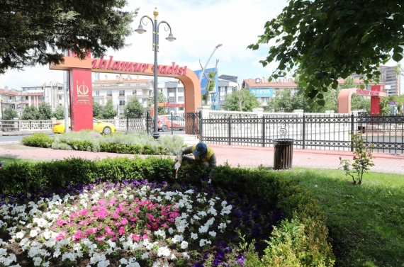 Keçiören’de modern serada üretilen çiçekler ilçeyi süslüyor