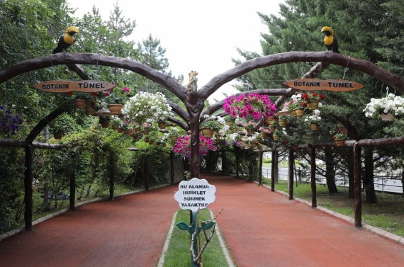 Keçiören’de modern serada üretilen çiçekler ilçeyi süslüyor