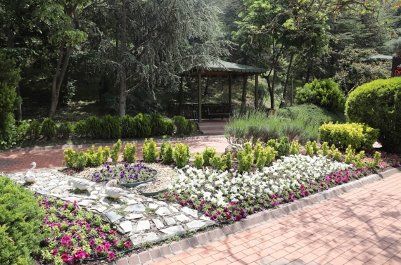 Keçiören’de modern serada üretilen çiçekler ilçeyi süslüyor