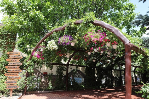 Keçiören’de modern serada üretilen çiçekler ilçeyi süslüyor