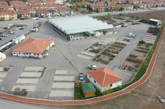 Keçiören’de modern serada üretilen çiçekler ilçeyi süslüyor