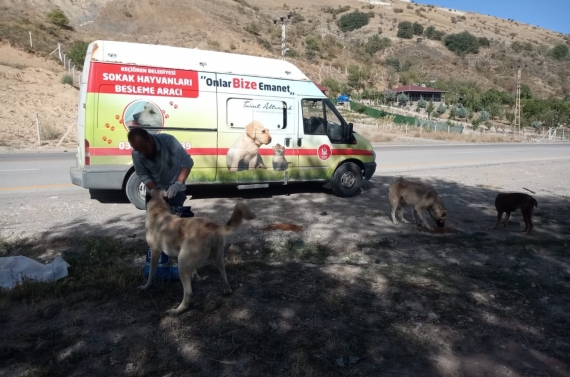 Şefkatli ellerde besleniyorlar