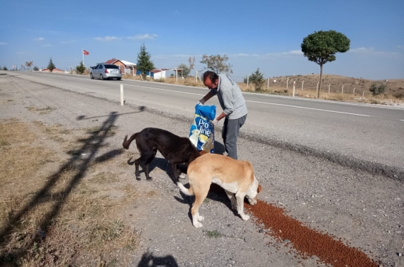 Şefkatli ellerde besleniyorlar