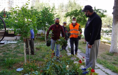 Şehitlerimizin ruhu 33 gülün bedeninde yaşayacak