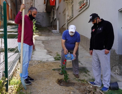 Şehitlerimizin ruhu 33 gülün bedeninde yaşayacak