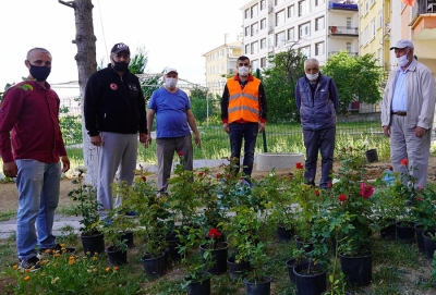 Şehitlerimizin ruhu 33 gülün bedeninde yaşayacak