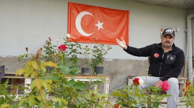 Şehitlerimizin ruhu 33 gülün bedeninde yaşayacak