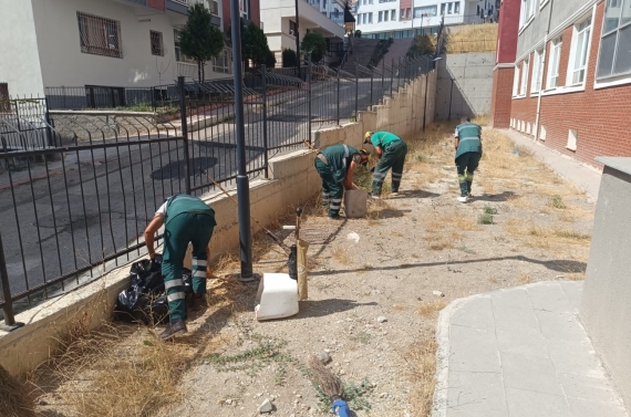 Yeni eğitim dönemi için okullar temizlendi