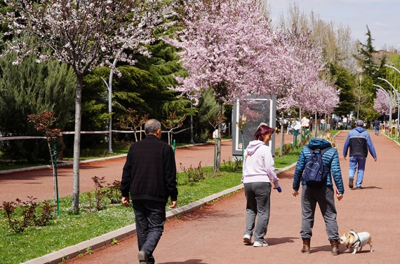 Atatürk Botanik Bahçesi’nden bahara rengârenk merhaba