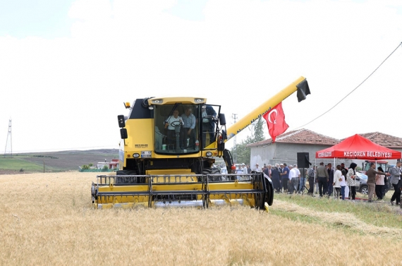 İlk buğday hasadını Başkan Altınok yaptı