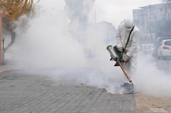 Keçiören’de kışlak mücadelesi ve bordo bulamacı uygulaması