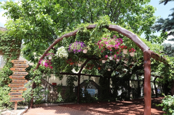 Keçiören’de modern serada üretilen çiçekler ilçeyi süslüyor