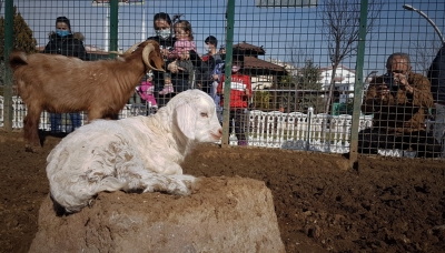 DOĞAL YAŞAM PARKI