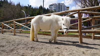 DOĞAL YAŞAM PARKI