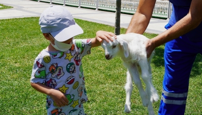 DOĞAL YAŞAM PARKI