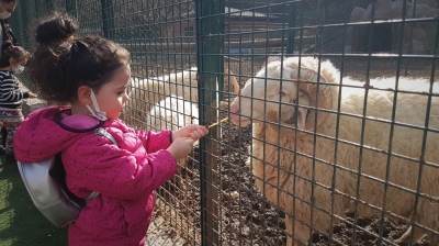 DOĞAL YAŞAM PARKI