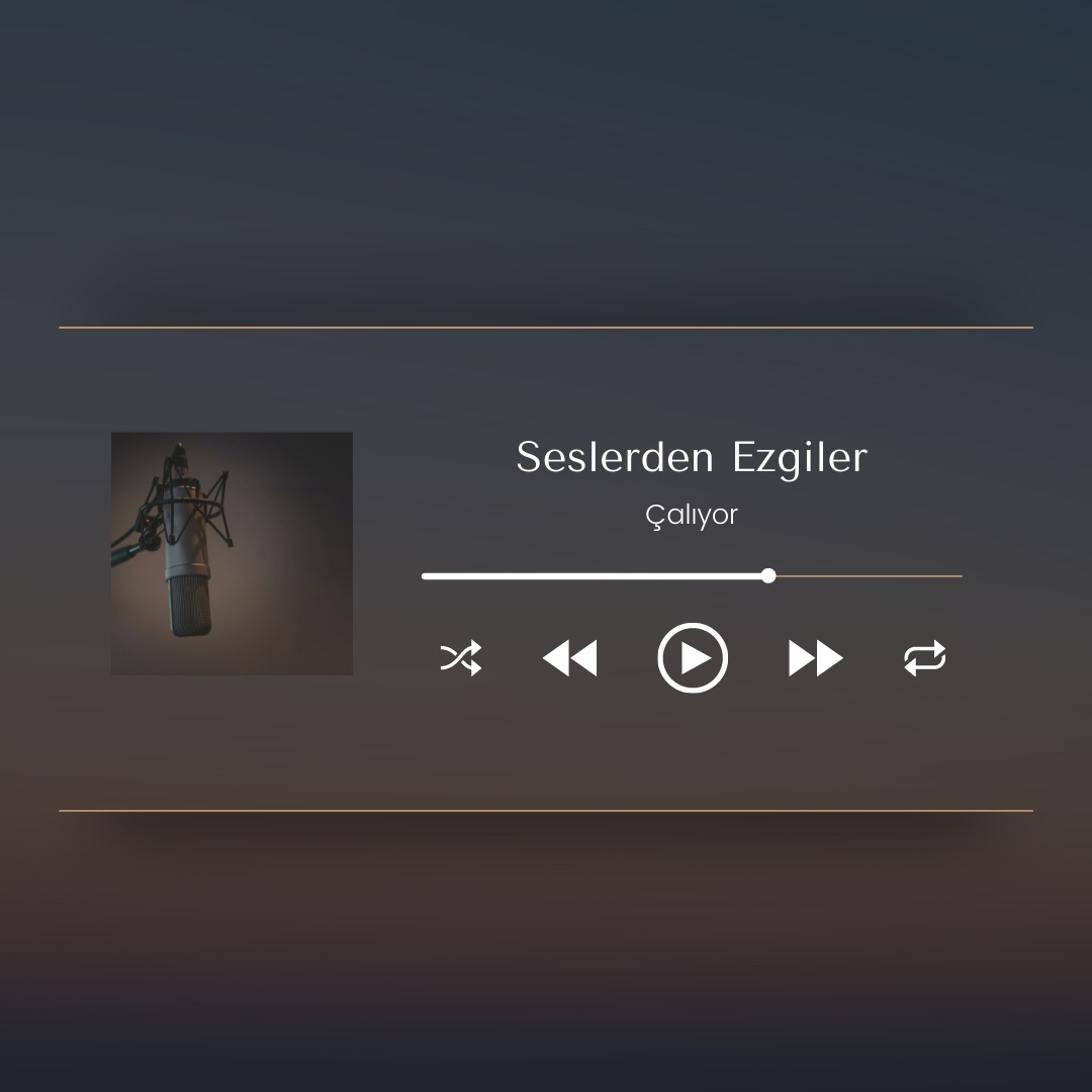 Seslerden Ezgiler